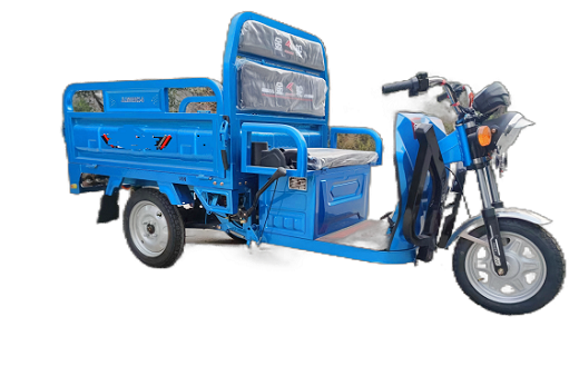 Cargo Tricycle